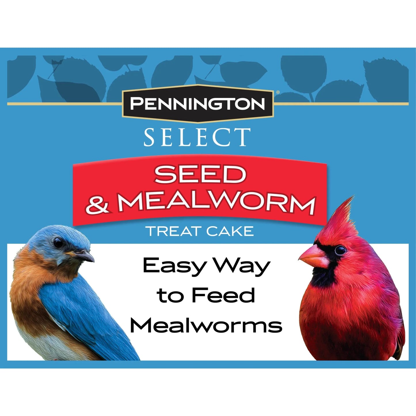 Seed Mealworm Treat Cake for Wild Birds, 1.4 lb (Pack of 2)