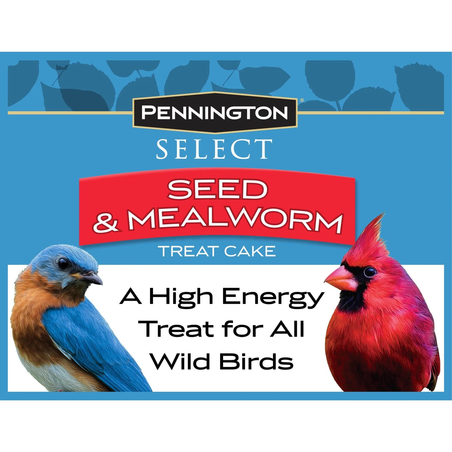 Seed Mealworm Treat Cake for Wild Birds, 1.4 lb (Pack of 2)