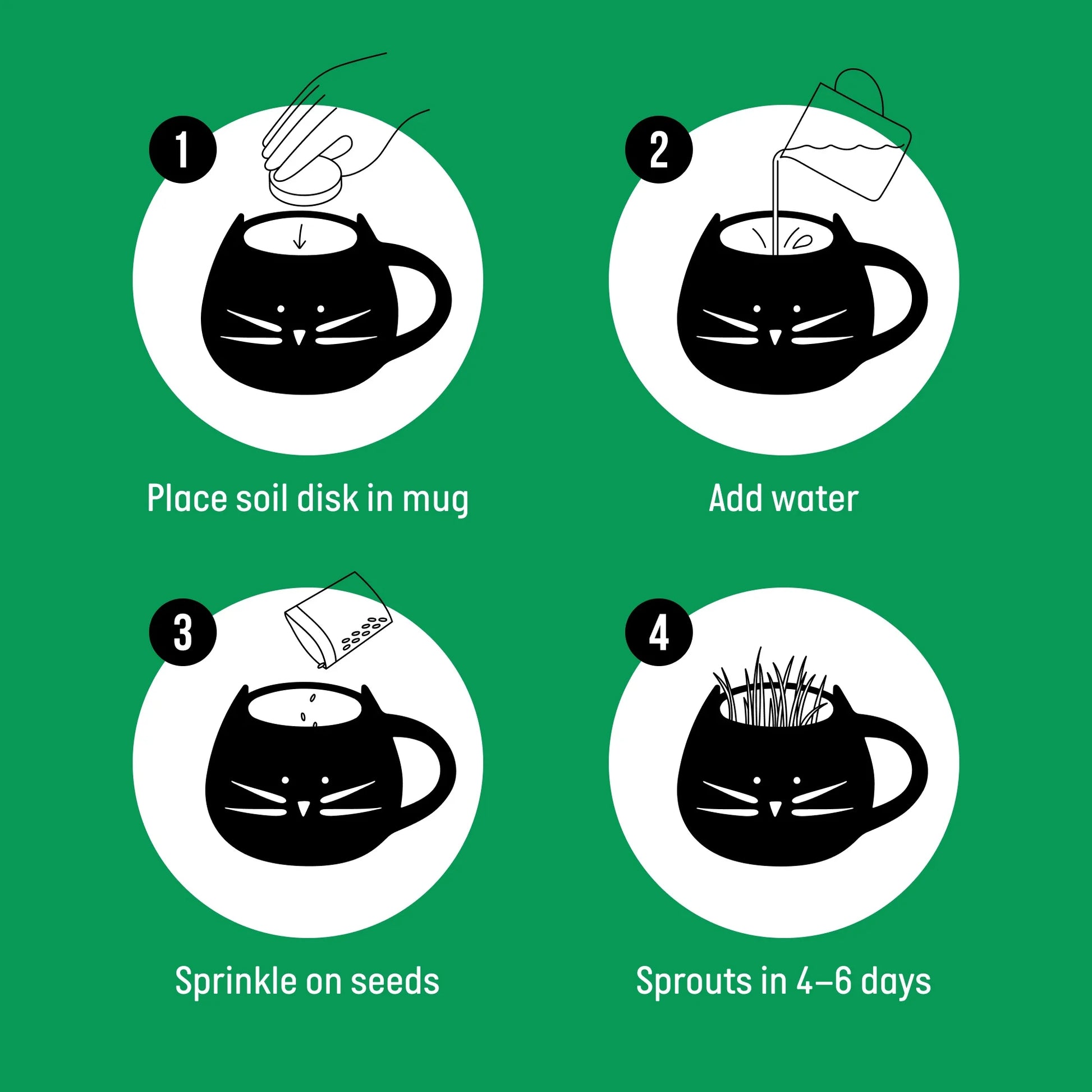 Organic Cat Grass Growing Kit with Black Cat Mug Planter by