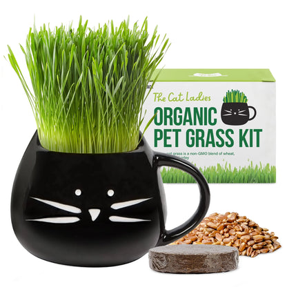 Organic Cat Grass Growing Kit with Black Cat Mug Planter by